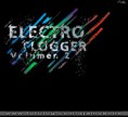 /album/fotogaleria-inicio/electrofloggervol2-1-jpg/